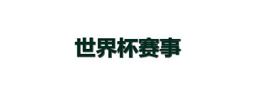 世界杯赛事