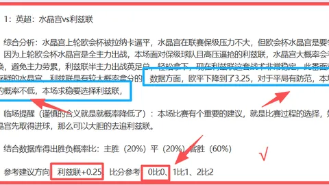 凱爾強調：夏季引援桑喬及馬特森任務艱巨，奮力衝刺成功在望！